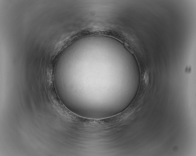 X0000111031348200907091535