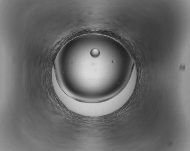 X0000111031349200907091535