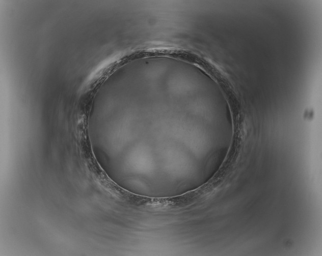 X0000111031351200907091535
