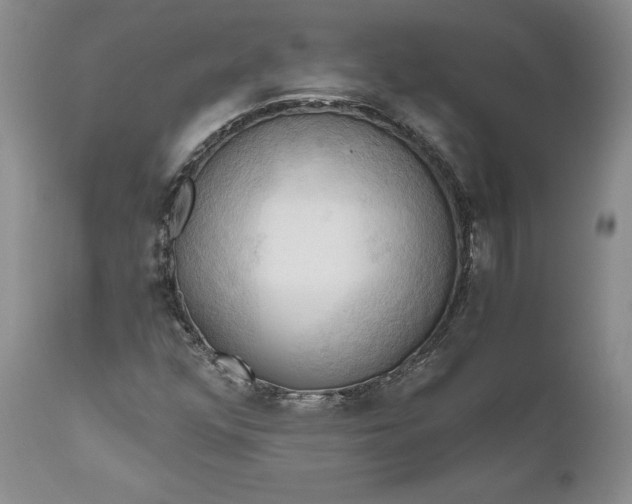 X0000111031352200907091535