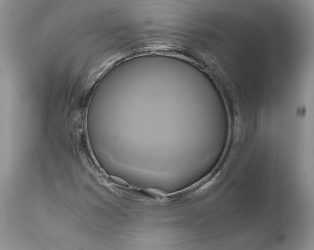 X0000111031353200907091535