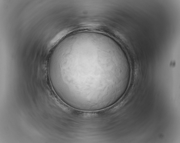 X0000111031354200907091535