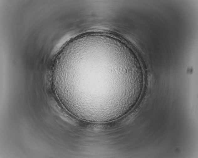 X0000111031355200907091535
