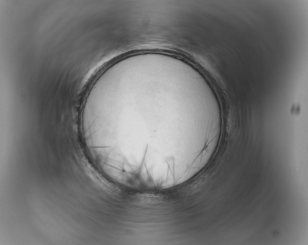 X0000111031356200907091535