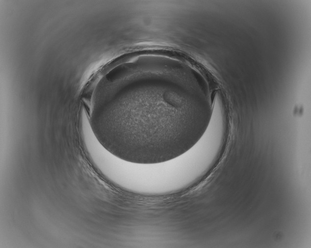 X0000111031357200907091535