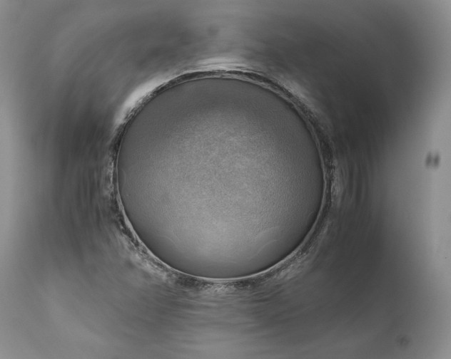 X0000111031358200907091535