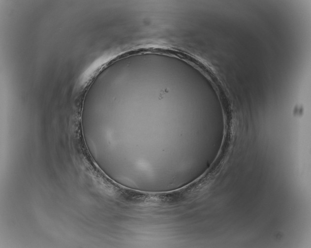 X0000111031359200907091535