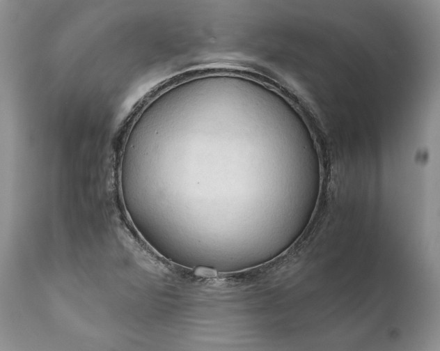X0000111031360200907091535