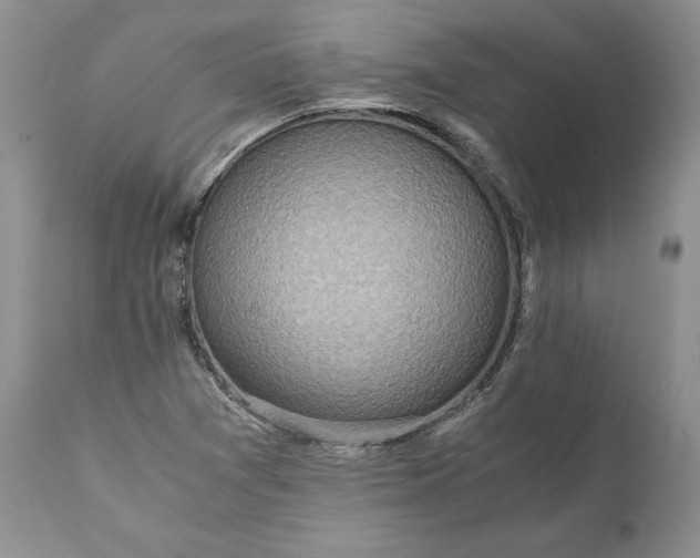 X0000111031361200907091535