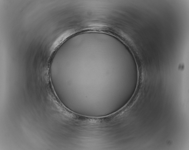 X0000111031362200907091535