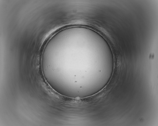 X0000111031364200907091534