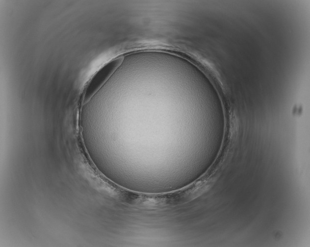 X0000111031365200907091534