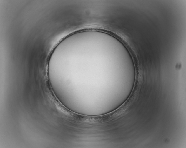 X0000111031366200907091534