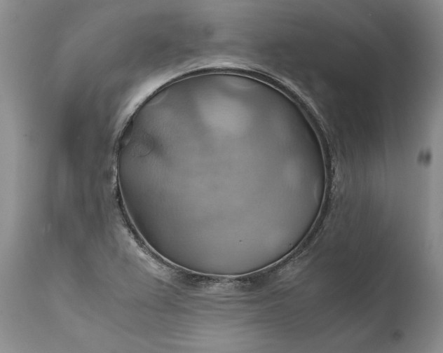 X0000111031367200907091534