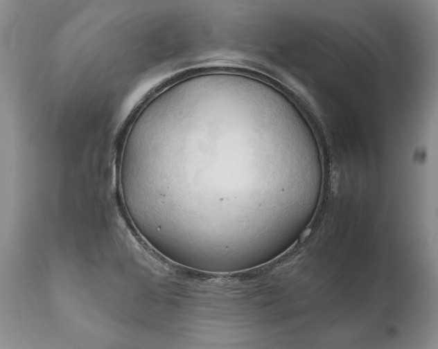X0000111031368200907091534