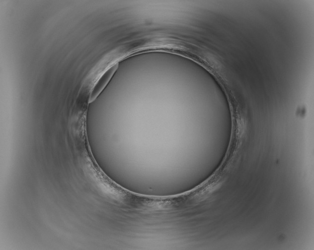 X0000111031369200907091534