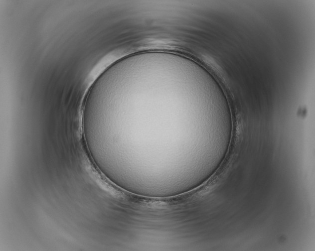 X0000111031370200907091534