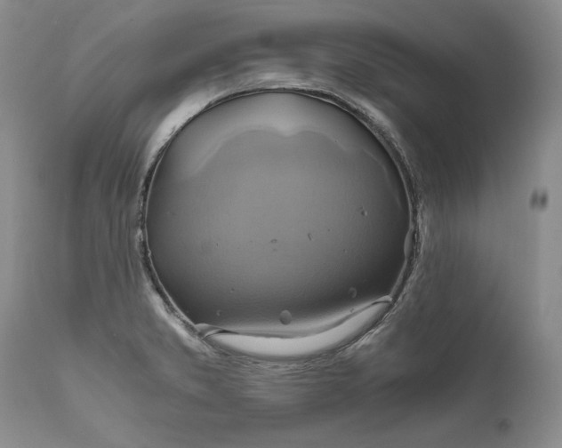 X0000111031373200907091534