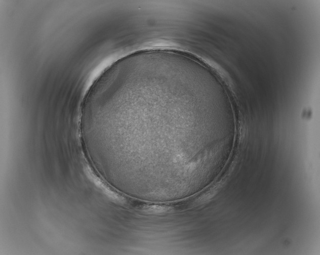 X0000111031374200907091534