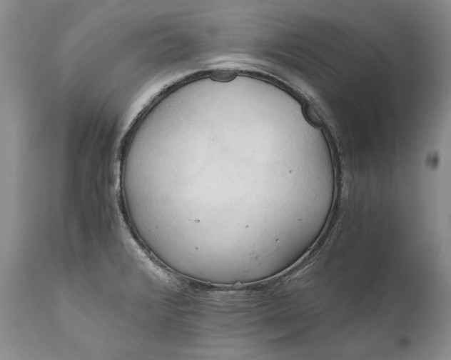 X0000111031376200907091534