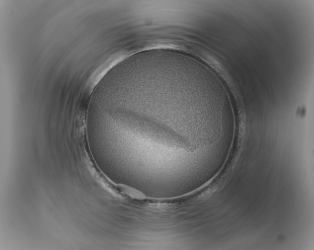 X0000111031377200907091534