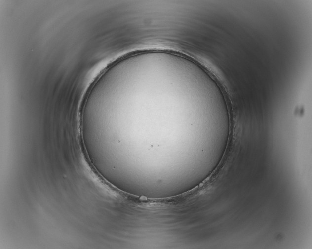 X0000111031380200907091534