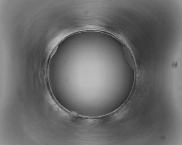 X0000111031381200907091534