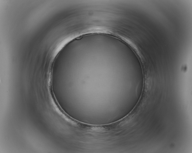 X0000111031383200907091534