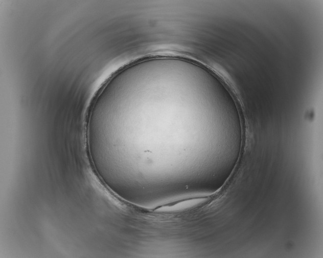 X0000111031384200907091534