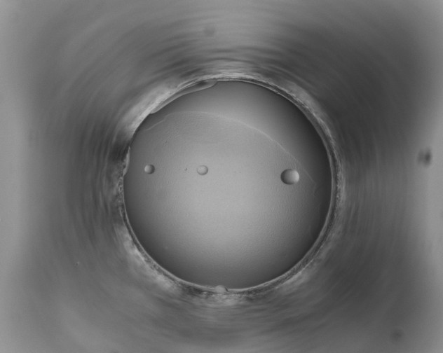 X0000111031385200907091534