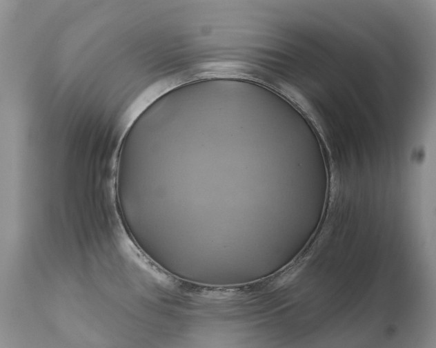 X0000111031386200907091534