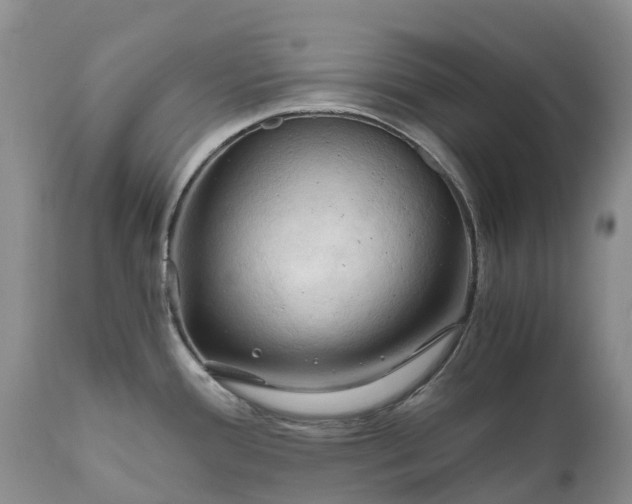 X0000111031388200907091534