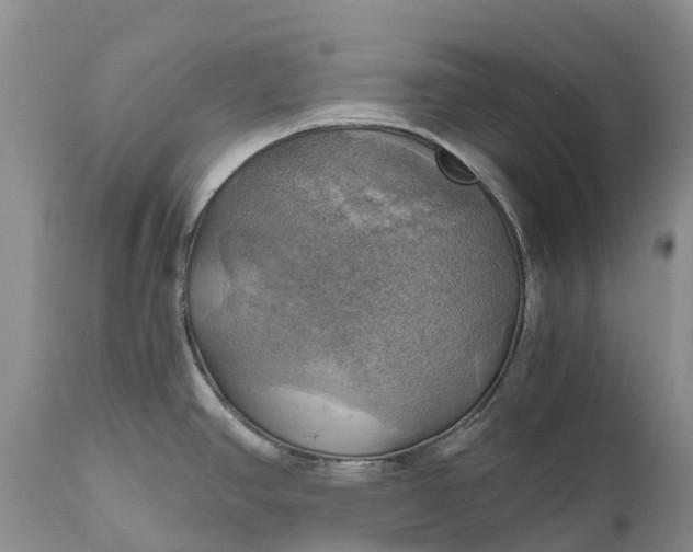 X0000111031390200907091534