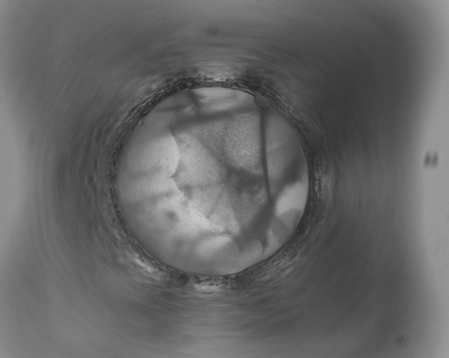 X0000111031393200907091533