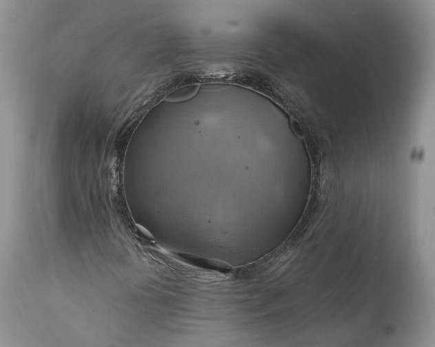 X0000111031394200907091533