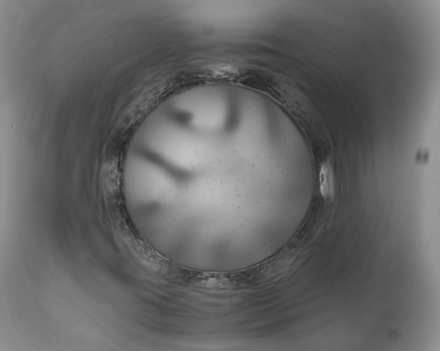 X0000111031395200907091533