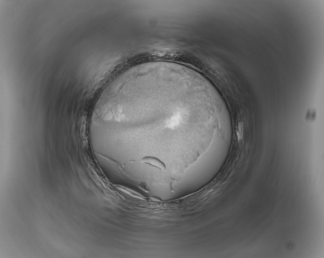 X0000111031396200907091533