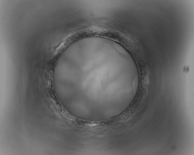 X0000111031397200907091533