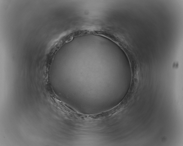 X0000111031398200907091533