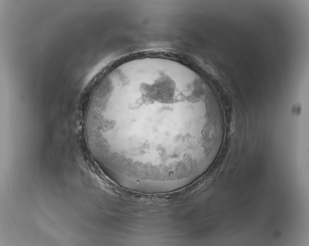 X0000111031400200907091533