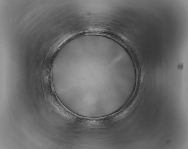 X0000111031401200907091533