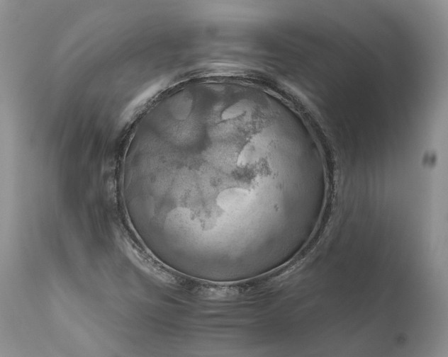 X0000111031403200907091533