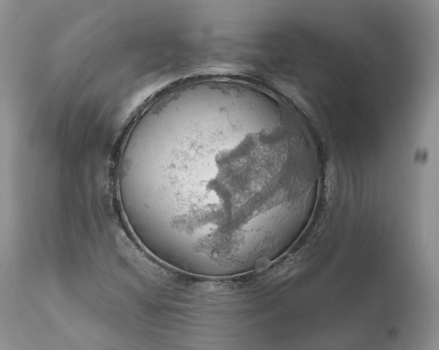 X0000111031404200907091533