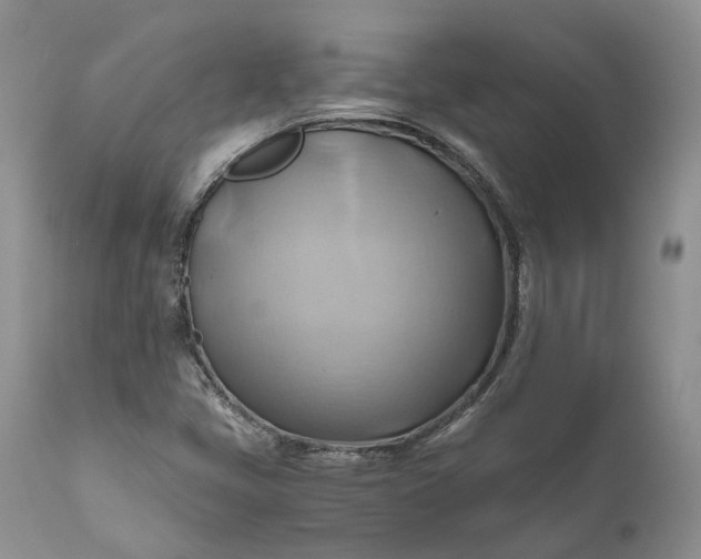 X0000111031405200907091533
