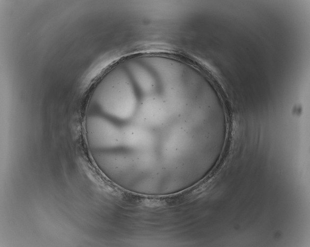 X0000111031407200907091533