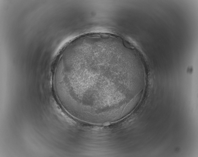 X0000111031408200907091533