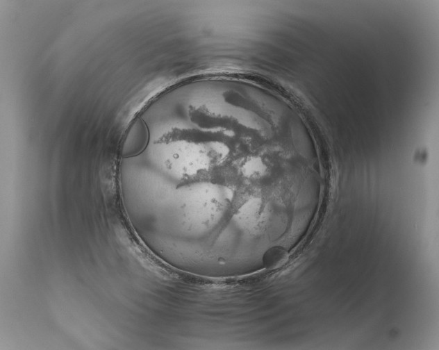 X0000111031409200907091533