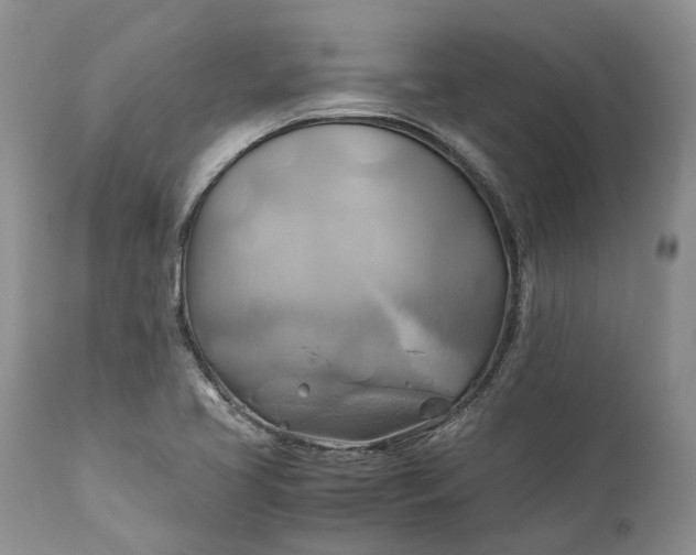 X0000111031413200907091534