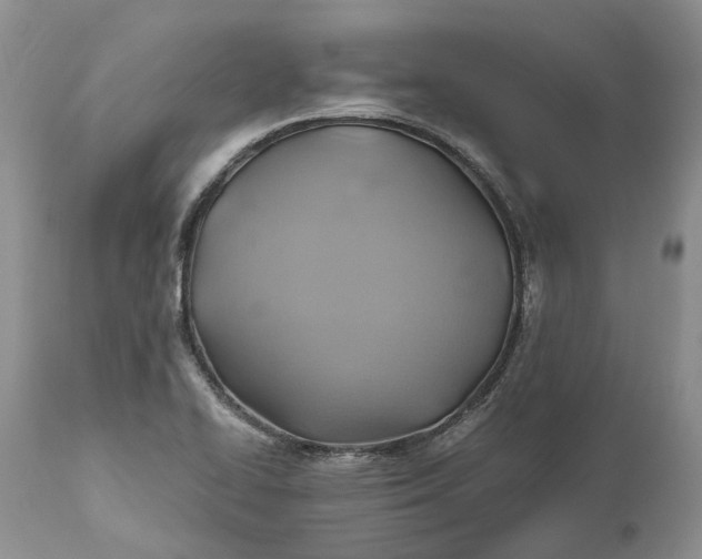 X0000111031414200907091534