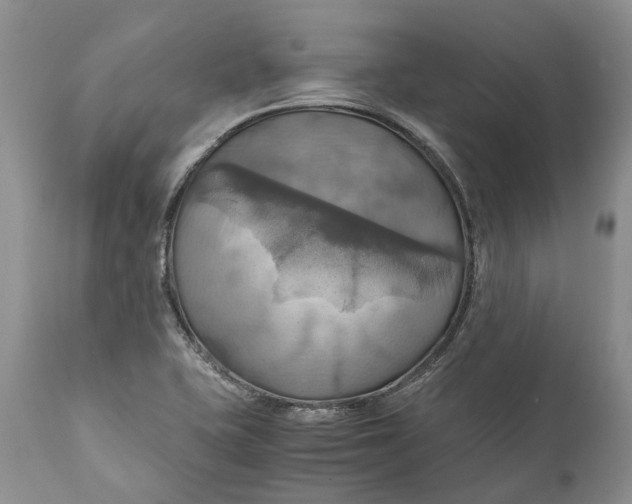 X0000111031415200907091534
